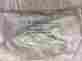 184591 Bosch Dishwasher Push Button Pad