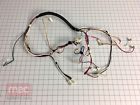 5304506794 Frigidaire Genuine Oem Wire Harness