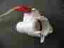 8268477 Whirlpool Dishwasher Pressure Switch