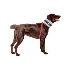 Bitenot 721343299707 Collar 7 Inch W X 28 L Fast Ship