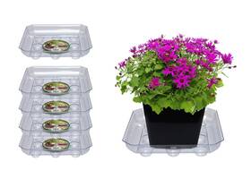 Curtis Wagner Plastics Corp. 688957636833 Designer Series Plant Saucer 5-pack - Clear Square