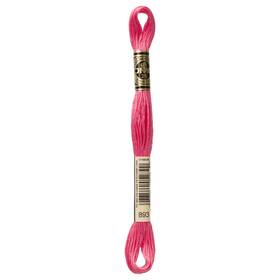 117-893 Dmc 12 Pack 6-strand Embroidery Cotton 8.7yd-light Carnation