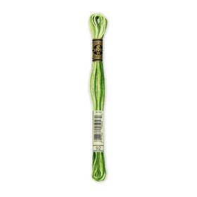 8.7yd-variegated Dmc 117-92 12 Pack - 6-strand Embroidery Cotton Avocado