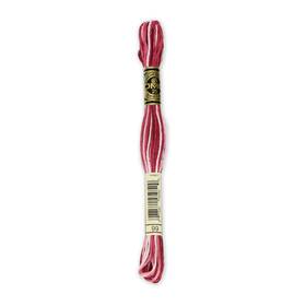 8.7yd-variegated Dmc 117-99 12 Pack 6-strand Embroidery Cotton Mauve