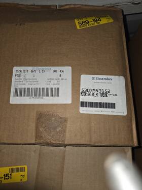 5303943162 Electrolux Motor And Relay