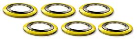 Ssi90006304gr150x6 Lamons Sterling Seal Spiral Wound Gasket With Flexible Filler For