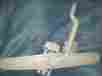Mdb9600aww Ps2100078 Ps2340935 Maytag Dishwasher Middle Spray Arm And Manifold