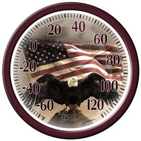 6773 Taylor Bald Eagle Outdoor Thermometer 13- Inch -