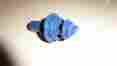 W10084108 8268340 Kitchenaid Dishwasher Spray Arm Support Hub W Part