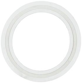 Waterway Plastics 806105124593 2 Inch Heater O-ring/gasket