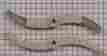 Wd35x10393 Ge New Oem Dishwasher Lower Wash Arm Assembly