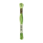 Dmc 117-92 6 Strand Embroidery Cotton Floss, 8.7-YARDS, Variegated Avocado. Fixed Price $12.03.