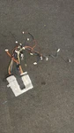 Oem Kitchenaid Dishwasher Wire Harness W11662347 For KDPM604KPS0. Fixed Price $21.56.
