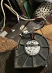Fisher & Paykel Dishwasher Drying Fan Wire Harness 526752 AD7524HB DD603 6X317. Fixed Price $10.00.