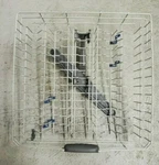Kitchenaid Dishwasher Upper Rack W10350382 W/ Spray Arm & Wheels Fits Many. Fixed Price $87.33.