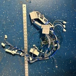 Oem Miele Dishwasher Wire Harness Cable Assy 06019651 06661981. Fixed Price $89.99.