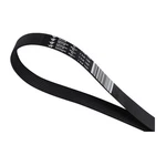 Erp Washer Driving Belt For Ge GFWH2400L0WW GFW450SSM1WW GFWN1600J1WW New. Fixed Price $26.99.