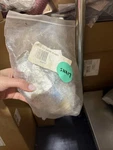 820718 Fisher Paykel Valve Ice Water 16 Watt. Fixed Price $59.00.