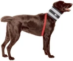 Bitenot Collar, 7" W X 28". Fixed Price $56.99.