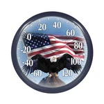 Taylor Bald Eagle Indoor Outdoor Dial Thermometer, Easy To Read Wall Decor Fo.... Fixed Price $27.89.