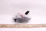 Stetig Rear Manual Temp Control Blower Motor Resistor JA198. Fixed Price $11.66.