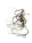 Genuine Oem Asko Dishwasher Wiring Harness 537354. Fixed Price $74.95.