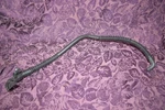 Frigidaire Part # 5304508358 Washer Fill Hose FLCE7522AW FLCE752CAW. Fixed Price $26.25.