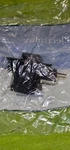 Genuine Oem Electrolux 154671402 Dishwasher Electric Door Latch Assembly. Fixed Price $34.99.