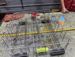 Crosley Dishwasher Model XDF300PSN5SS Lower Bottom Basket Rack. Fixed Price $75.00.