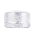 Stz Industries 1/8 In. Fip Each Galvanized Malleable Iron Cap (pack Of 5). Fixed Price $11.52.