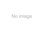 Grote 73440 Backup Alarm Multi Frequency. Fixed Price $186.19.