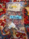 00165281 Genuine Oem Bosch Thermistor Sensor Hi-limit -B84. Fixed Price $45.00.