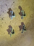 4PCS Ge Dishwasher Tine Retainer/clip Oem WD12X10117. Fixed Price $8.99.