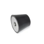 J.w. Winco GN254-50-3/8X16-55 Tapered Bumper Stainless. Fixed Price $23.35.