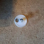 Ge Dishwasher GDT650SYV0FS Disc And Magnet. Fixed Price $21.56.