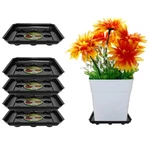 Curtis Wagner Plastics Designer Series Plant Saucer (5-PACK) Black, Square .... Fixed Price $46.79.