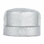 1/8 In. Galvanized Pipe Cap - 501772. Fixed Price $9.63.
