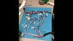 5304512804 Oem Electrolux Frigidaire Dishwasher Main Wire Harness. Fixed Price $49.95.