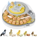 Automatic 26 Egg Incubator With Camera 360 View Voice Guidance Digital 220V. Fixed Price $239.98.