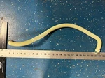 Dishwasher Drain Hose W11551233 Oem W11036161. Fixed Price $19.97.